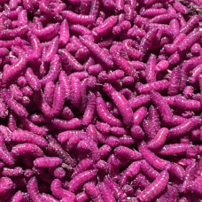 Viermi mici Pinky rubinii Viermi mici Pinky rubinii